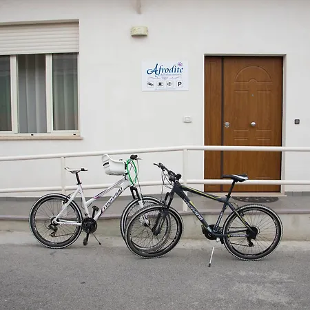 Pensionat Afrodite Scalea