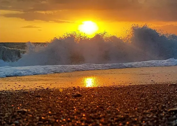 招待所 Afrodite 斯卡莱阿